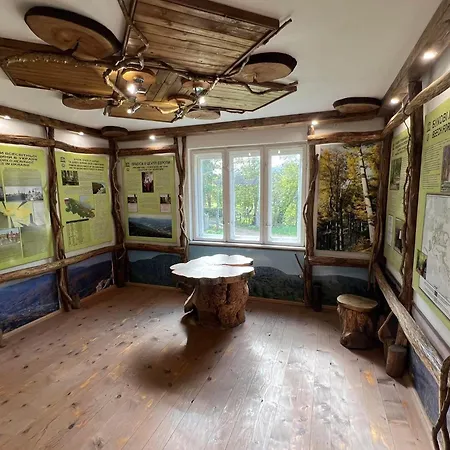 старий млин *