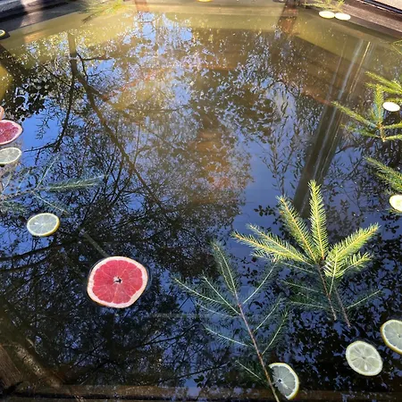 старий млин